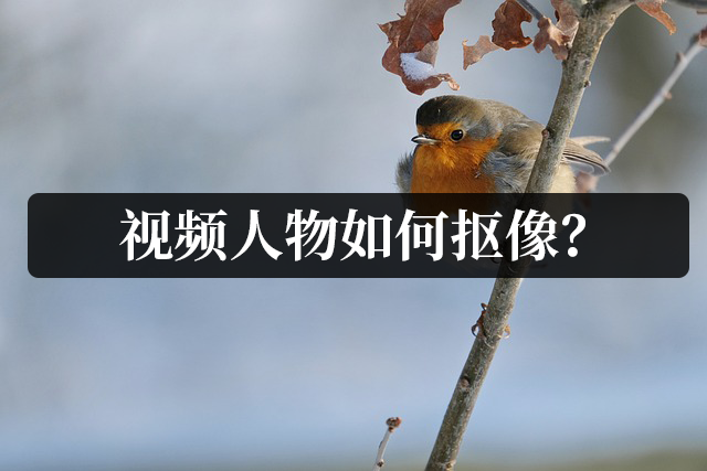 详细阅读:抠像视频怎么制作(抠像视频怎么制作的) 抠像视频怎么制作(抠像视频怎么制作的)
